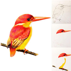 80Pcs Drawing Kit Sketching Set Art Sketch Supplies Coloring Pencils Kit 48 Colo