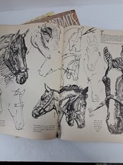 6 Vintage Drawing And Painting Art Books Paperback How To