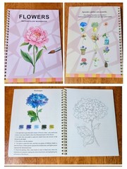 Watercolor Art Bundle:Grabie 50 Paint Set, Floral Workbook & Matthew Palmer Book