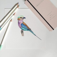 Tombow Irojiten Vol 3 Colored Pencils 30 Color Set CI-RTC Neon Neon Color Box