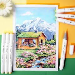 217 Colors Double Tipped Alcohol Markers Set – Brush & Fine Tip for Art & Colori