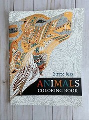 Adult Coloring Book Fox Owl Fantasy Designs To Enchant Teen Activity Gift Idea