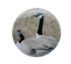 Canada Geese[ 2.25 inch ]