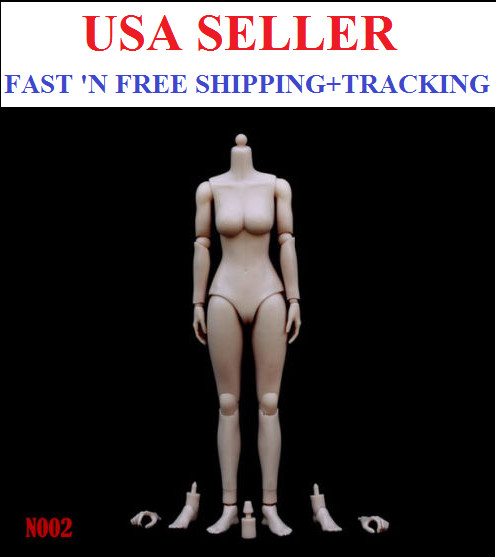 ZY TOYS 1/6 Scale MEDIUM Bust PALE skin tone female body N002
