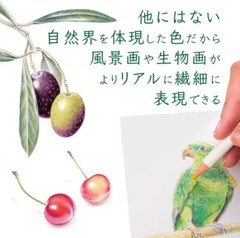 Tombow Pencil Colored Pencil NQ 30 Color Pencils IROJITEN CI-RTC from Japan