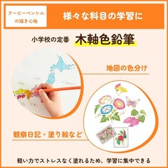 SAKURA Coupy color pencil 12color in paper box PFY12K