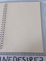 Silvine Multi Colour Pages A5 Blank Ring Bound Sketch and Note book Notebook 72