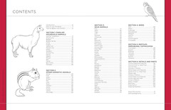 Draw like an Artist: 100 Realistic Animals: Step-By-Step Realistic Line Drawing
