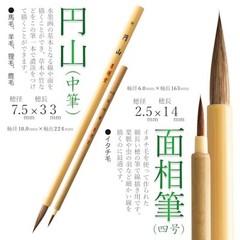 Boku-Undo Japanese Sumi-e & Nihonga Painting Starter Set – 12 Gansai Colors Kit