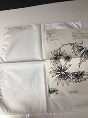 Paint By Number Flowers Napkins #1356 Fabric VTG Cameo VTG Instruction