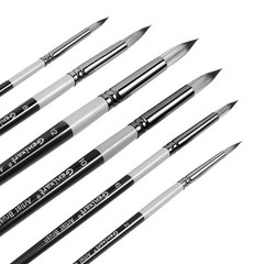 Round Pointed Tip Paint Brushes Set, 6 Pcs Artist Paintbrushes Round, Black
