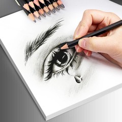 Drawing Sketch Pencil Set 14 PCS Sketching Pencils 12B-6H Graphite Art