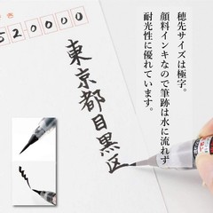 Pentel Pigment Ink Brush Pen Extra Fine for Calligraphy and Manga Art