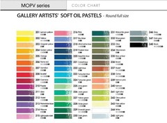 48 Assorted Colors Gallery Soft Oil Pastels – Ideal for Artists & Creative Minds