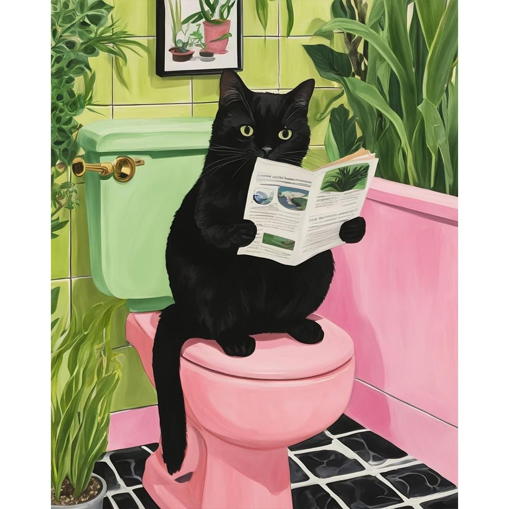 Paint by Numbers Kit for Adults Beginner, Black 16 x 20 inches, MT20891-US