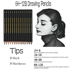 Drawing Sketch Pencil Set 14 PCS Sketching Pencils 12B-6H Graphite Art