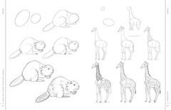 Draw like an Artist: 100 Realistic Animals: Step-By-Step Realistic Line Drawing