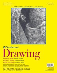 300 Series Drawing Paper Pad Glue Bound 11×14 inches 50 Sheets 70lb/114g – Ar…