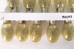 RISO PRINT GOCCO Flash Bulb Lamp Box 10 Bulbs made in Japan