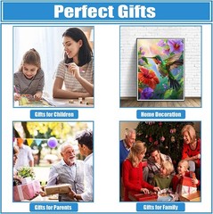 DPHERO Hummingbird Diamond Painting Kits for Beginners 20 cm x 30 cm, USYZ593