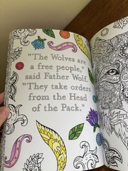 Adult Coloring Book Lot Mandalas & Jungle Designs-few pages used (see photos)