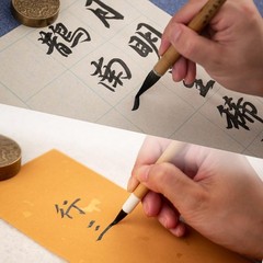 Calligraphy and Sumi Liquid Ink, Odorless Ink for Calligraphy & Painting, Bla…