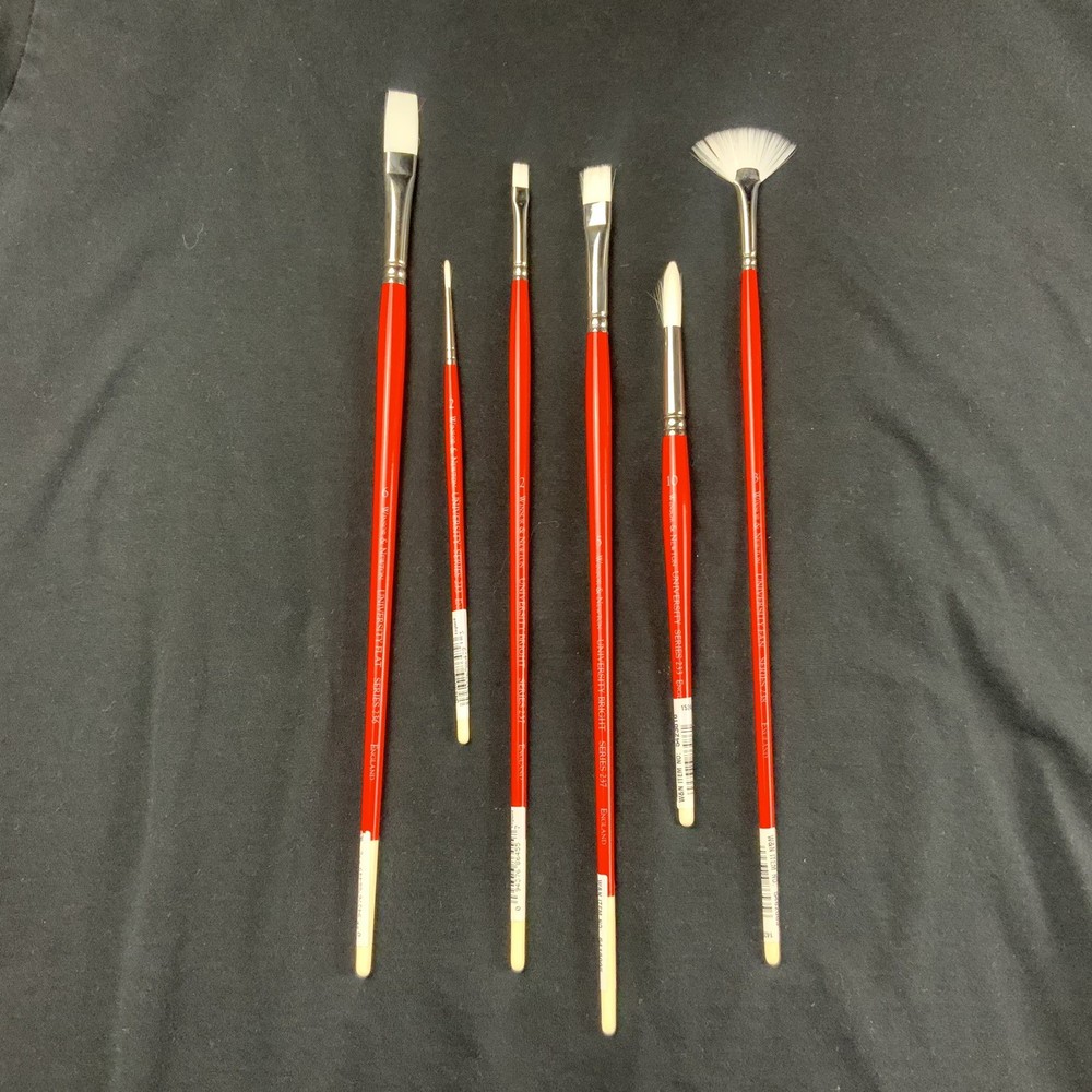 Winsor & Newton Six Acrylic & Oil Brushes University Series Unused!