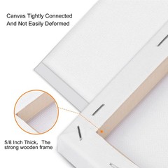 14 Packs Stretched Canvases for Painting, Multi Pack 11×14, 9.44×12, 8×10, 5x…