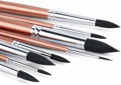 Professional Goat Hair Brush Set