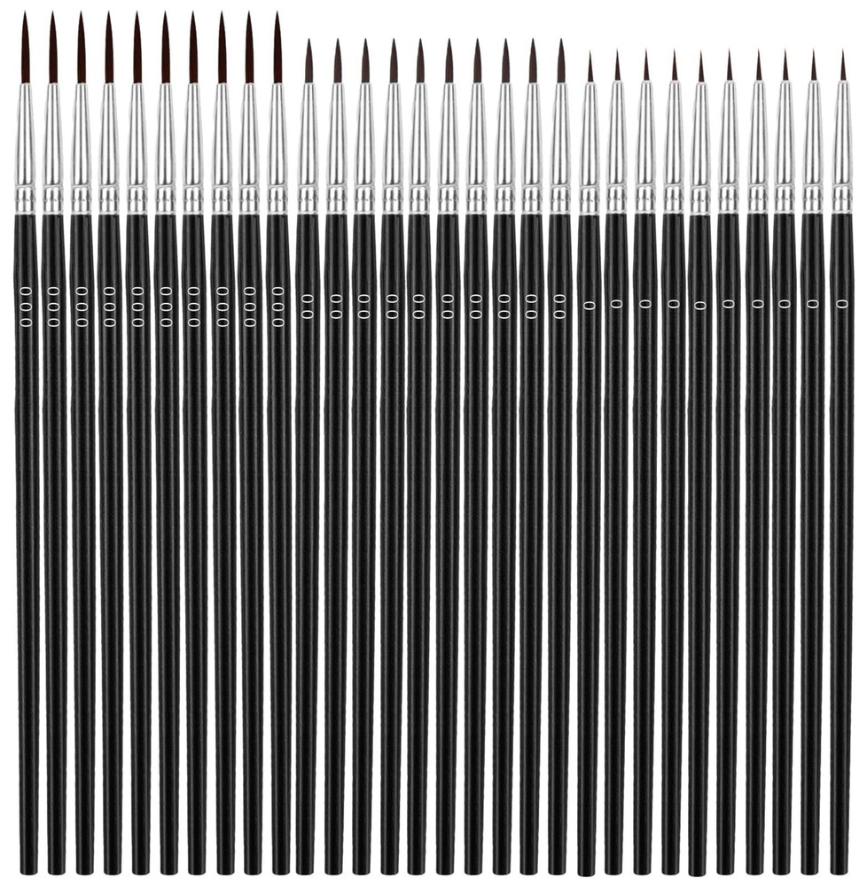 Anezus Tiny Detail Paint Brushes 30 Pcs Fine Set Small, Black