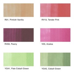 New COPIC Sketch 6 Color Marker Set Floral R01, RV13, RV69, V05, YG51, YG45