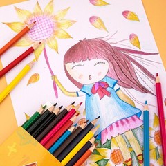 48Colors Pencils Drawing Sketching pencils Grade Vibrant Coloring pens kit