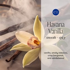 Capri Blue Havana Vanilla Scented Candles for Home – 10 oz, Iridescent