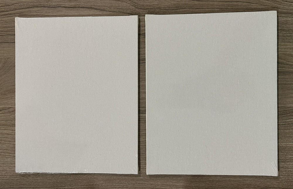 Lot Of 2 Blick Art Material 8” X10” Canvas Panel Boards SEALED NEW