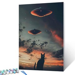 UFO Paint by Bumbers for Adults Beginner Black Cat DIY Paint by Numbers Acrylic