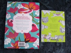 Colouring Book x 2 – Pretty Patterns / Keep Calm and Colour Cats – for Adults