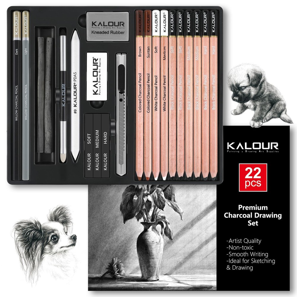 22 PCS Black White Charcoal Pencils Drawing Set Sketching Shading Art