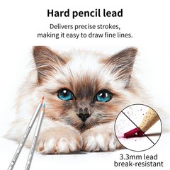 AXUS MARCO Oil-Based Colored Pencils Sets For Adults Colour Pencils in Iron B…
