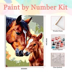 Horse Framed Paint by Number for Adults,DIY Animal Painting by Number Kits on Ca