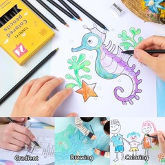 12 Colors Rainbow Pencils for Kids Adults, 24 Pack Rainbow Colored Pencil Art…