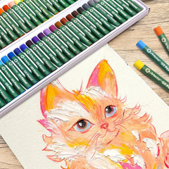 Oil Pastels Set of 12 PCS, 6 White and 6 Black | Soft Oil Pastels