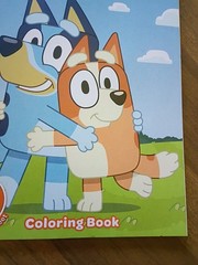 Crayola Bluey 96-Page Colouring Book – Creative Colouring Fun – Ages 3+
