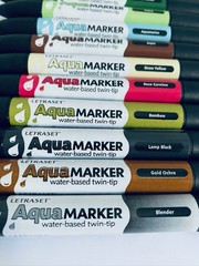 Letraset Aquamarker 12 Pens + Blender Twin Tip Water Based Aqua Marker Set