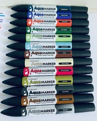 Letraset Aquamarker 12 Pens + Blender Twin Tip Water Based Aqua Marker Set