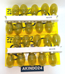 Print Gocco Lamps for Print Gocco PG-5 PG-11 | 2 Boxes – 20 Bulbs | from Japan