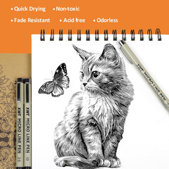12+1 Fineliner Drawing Art Pens, Black Waterproof Pigment Ink Set for Artists, S