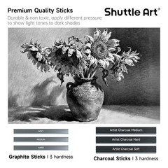 Sketching and Drawing Pencils Set, 37-Piece Professional Sketch Pencils Set i…