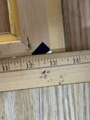 VINTAGE NATIONAL PICTURE FRAME CO GOLD WOOD FRAME FITS 9.75X11.75