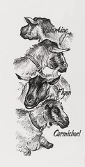 Pitt Artist Pen 167115 India Ink Pens Pack of 4 M F S XS Black | Waterproof a…