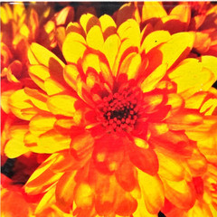 Big Flower Origami Paper / 10 cm X 10 cm / 32 Sheets / 110gr